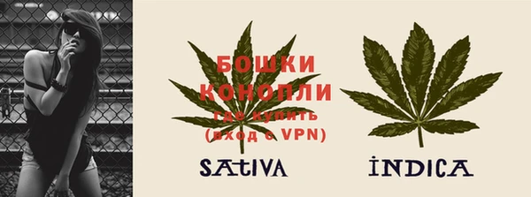 PSILOCYBIN Балабаново