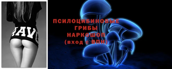 стафф Баксан