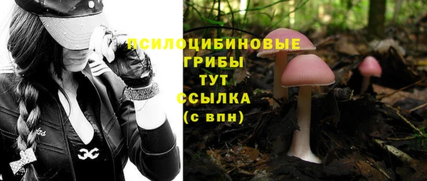 стафф Баксан