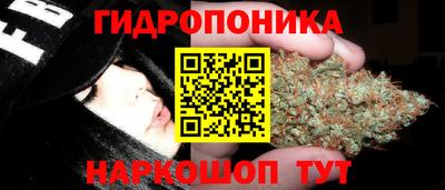ECSTASY Малгобек