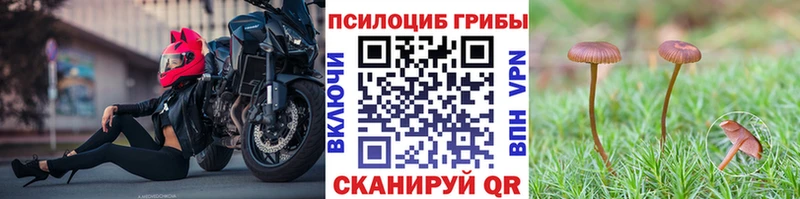 Псилоцибиновые грибы MAGIC MUSHROOMS  наркошоп  Вятские Поляны 