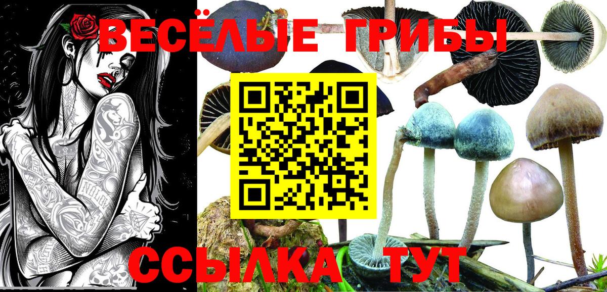 Вятские Поляны  где можно купить наркотик  Вход с VPN  Псилоцибиновые грибы GOLDEN TEACHER 