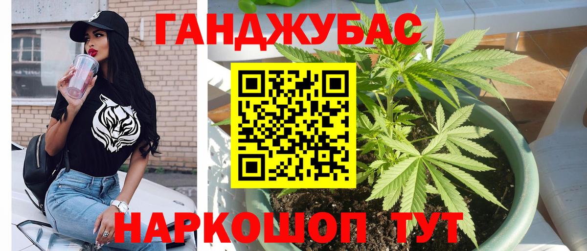 Каннабис OG Kush Вятские Поляны